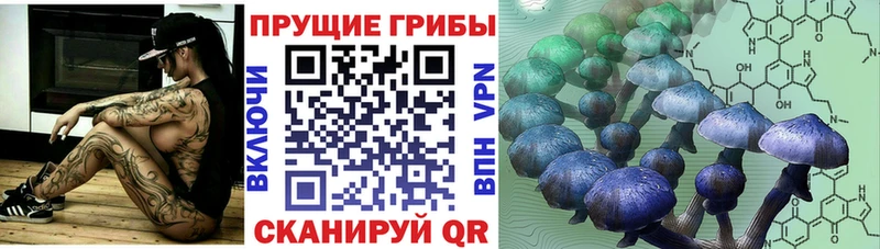 купить закладку  Сясьстрой  блэк спрут ССЫЛКА  Галлюциногенные грибы мицелий 