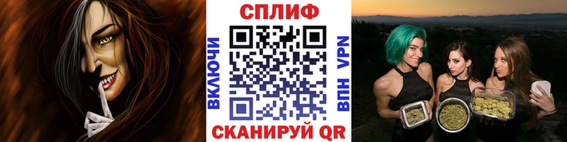 дарнет шоп  Сясьстрой  Каннабис OG Kush 